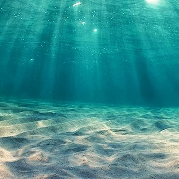 Meet your Posher, Claire - Picture 1 of 1